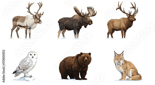Majestic North American Forest Wildlife Collection Isolated on White Background