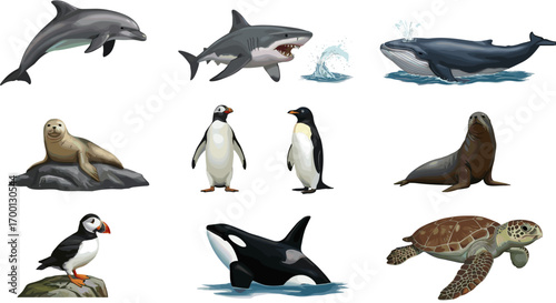 Collection of Diverse Marine Life Animals Dolphin Shark Whale Seal Penguin Sea Lion Puffin Orca Turtle Isolated on White Background