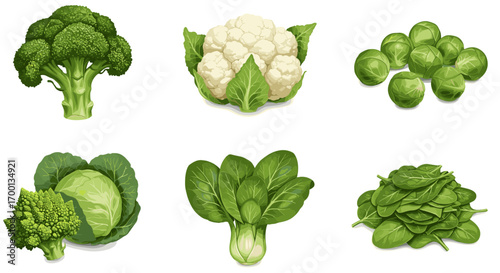 Fresh Assortment of Healthy Green and White Vegetables Isolated on a White Background