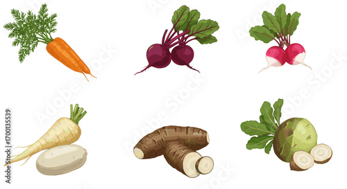 Assortment of Root Vegetables Isolated on White Background Fresh Produce Healthy Eating Collection