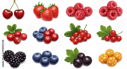 Assorted Fresh Berries Collection Featuring Cherries Strawberries Raspberries Blueberries Cranberries Red Currants Blackberries and Cloudberries Isolated on White Background