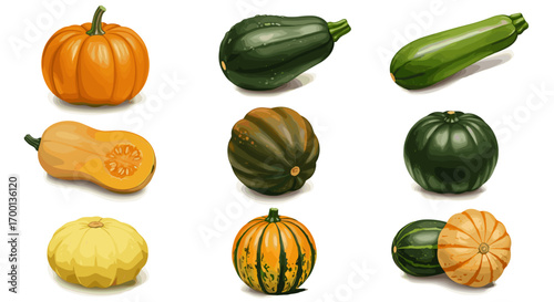 Assortment of Nine Different Gourds and Squash Vegetables Isolated on White Background