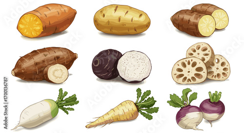 Assortment of Root Vegetables and Tubers Isolated on White Background for Healthy Eating