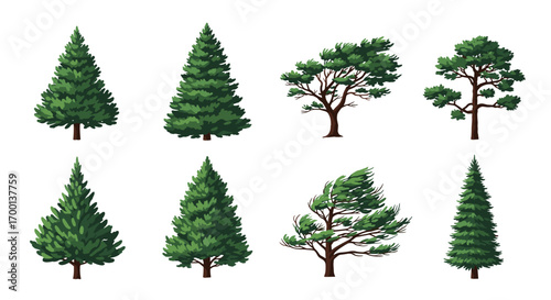 Collection of evergreen coniferous trees in various styles and forms for natural scenery design elements