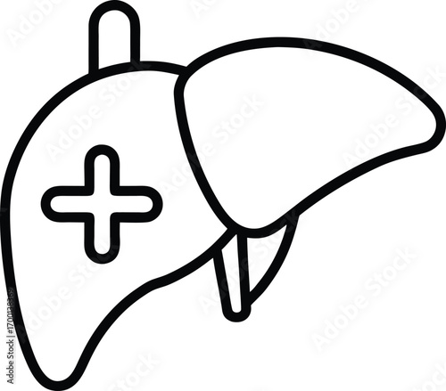 liver healthcare organ icon on transparent.