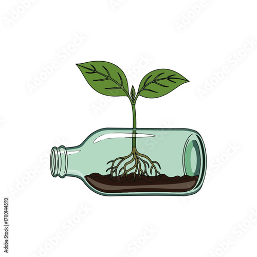 Sprout Growing Inside Recycled Glass Bottle Illustration
