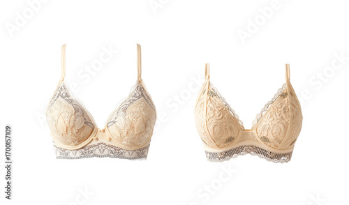 Bra with pink silk, black lace, and dried banana leaf