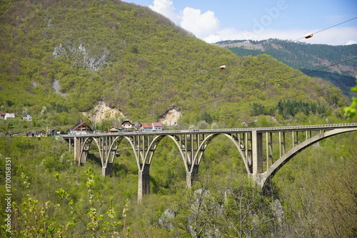 Scenic Bridge Over Valley with Forested Mountains