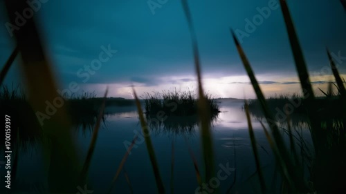 Blue hour coastal marsh flickers with lightning