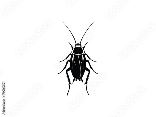 Cockroach Insect Silhouette Top View isolated with white background 