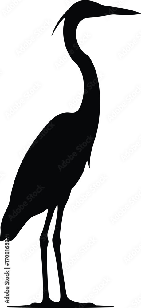 Obraz premium vector silhouette, heron standing tall, long legs, side view, solid black