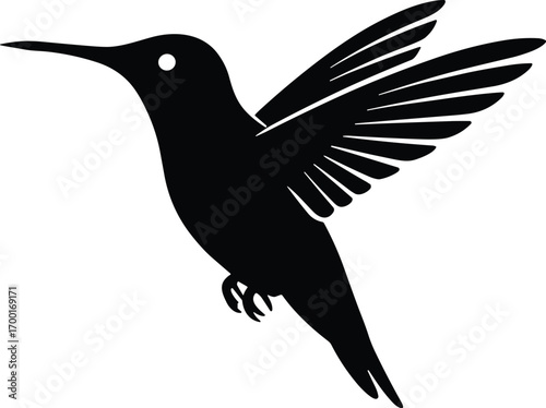 vector silhouette, hummingbird hovering beak forward, side profile, solid black
