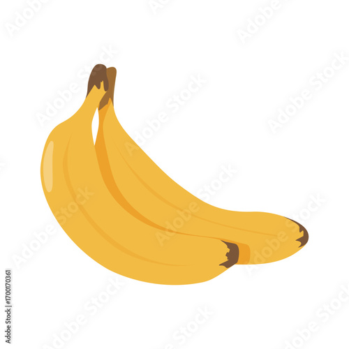 Banana fruit bunch, yellow peel. Fresh tropical snack, sweet healthy potassium food. Organic natural vitamin nutrition.