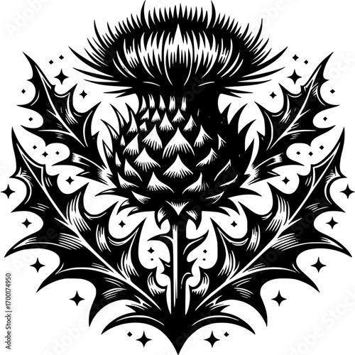 Heraldic Thistle in Monochrome: This image features an intricately detailed graphic rendering of a prominent thistle, a symbolic emblem, isolated against a clean backdrop.