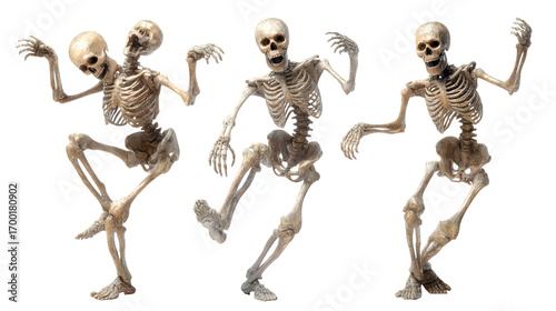 HD realistic clipart set of skeleton figures in dancing poses isolated on white background