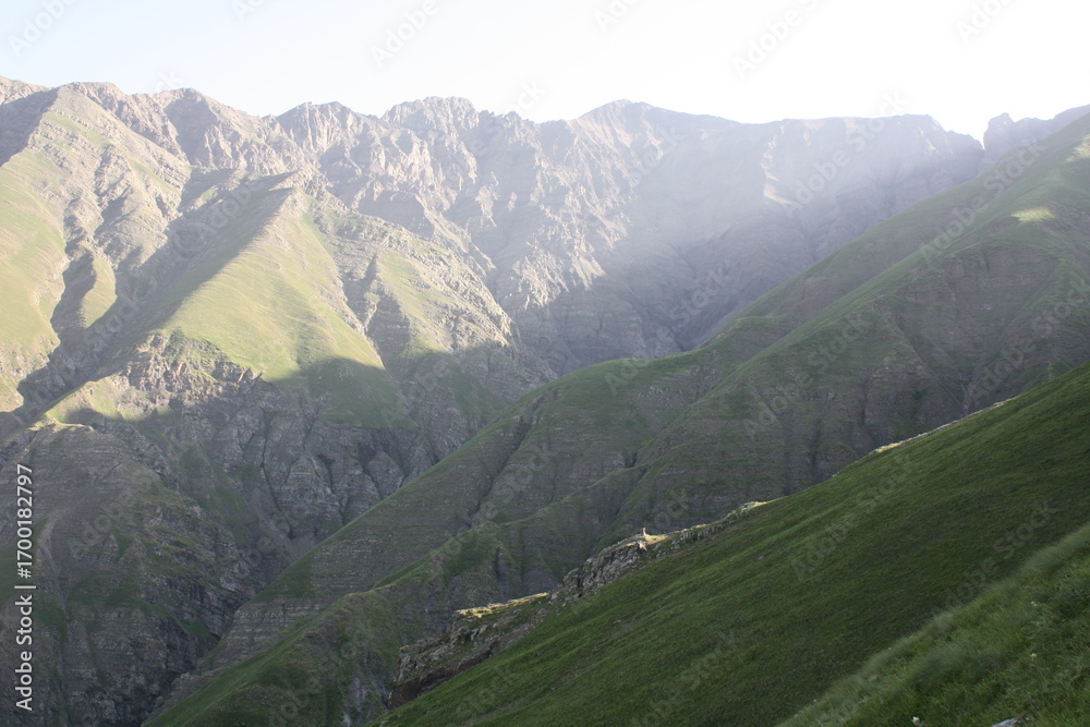 Fototapeta premium mountains in the alps