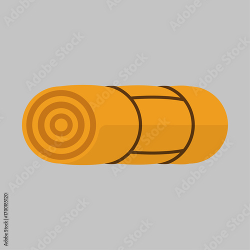 Compact rolled mat for outdoor activities, camping, and comfortable rest