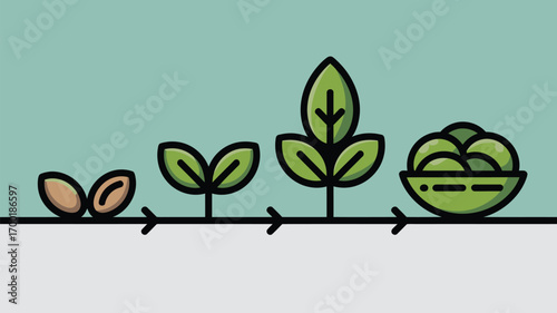 Illustration showing a plant growing from seeds to a bowl of produce in a flat design style