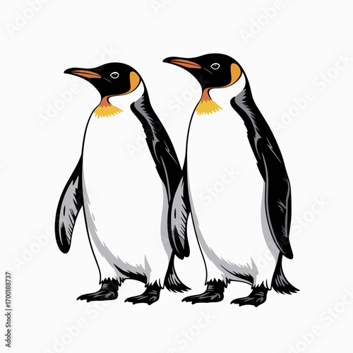 Pair of Penguins Standing Together Illustration