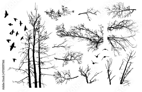 Naked trees silhouettes set. Hand drawn isolated Not AI, Vector illustration