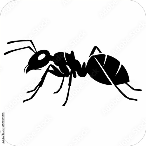 Ant illustration