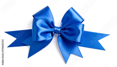 Elegant blue satin ribbon bow