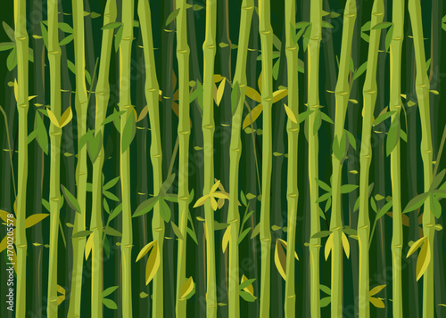 bamboo thickets, Green background image with bamboo plants and foliage. Background. cover, wrapping paper, screensaver. Soothing picture.