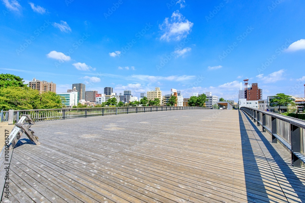 Fototapeta premium 岡崎市、乙川に架かる桜城橋