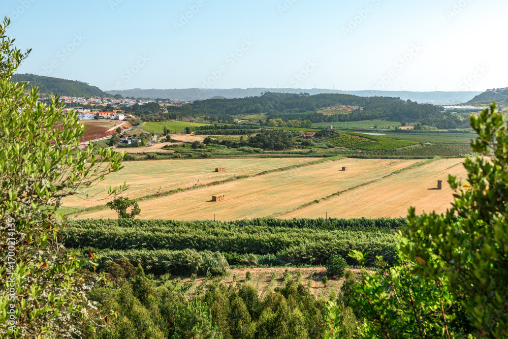 Fototapeta premium Drone view of a golden rural field with hay bales at sunset in Óbidos, Portugal, showing warm light, agricultural landscape and peaceful countryside atmosphere.