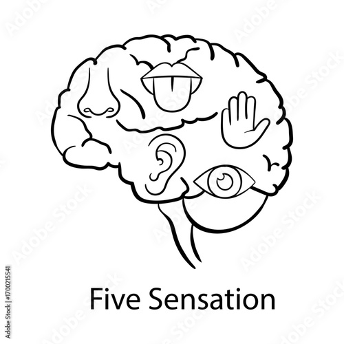 Five Sensation Hand Drawn Icon | Awareness, Human, Body, Sense, Spirit