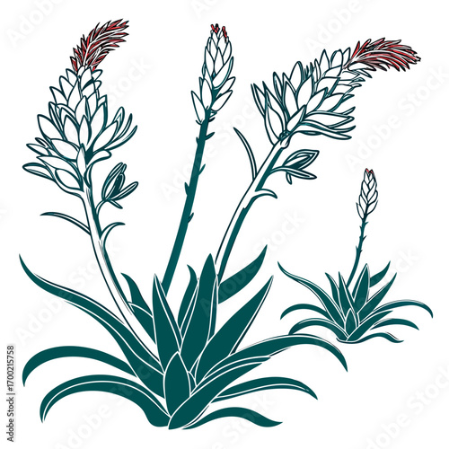 seamless pattern with bromeliads south africa