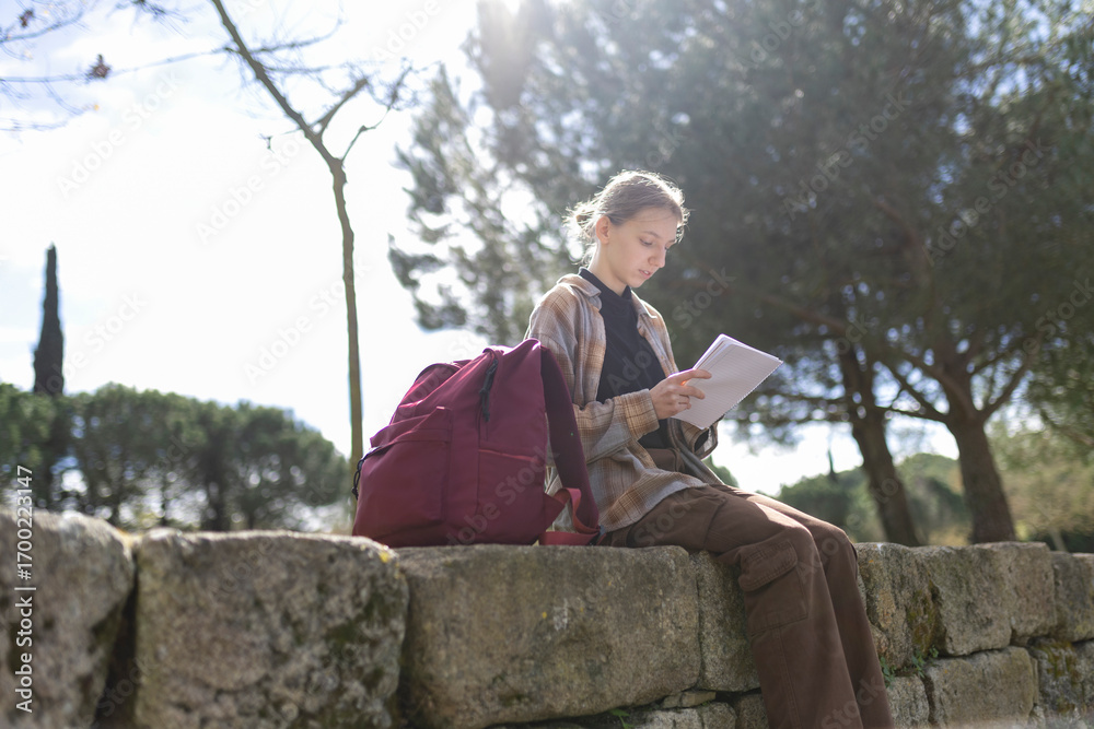 Fototapeta premium Young student studying outdoors in a park reading notes