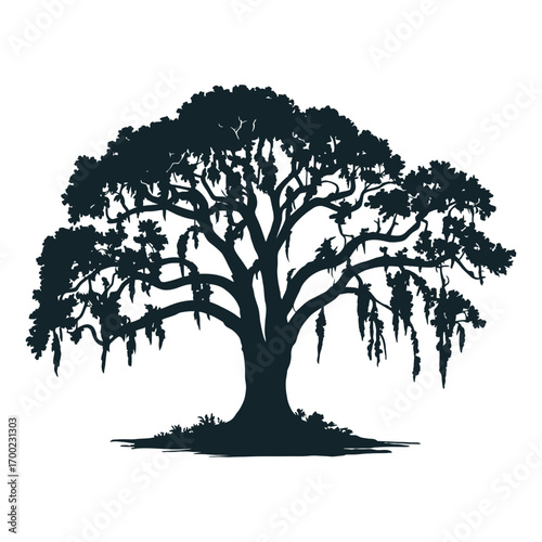 Silhouette of a majestic live oak tree with Spanish moss, evoking Southern charm and nature's beauty
