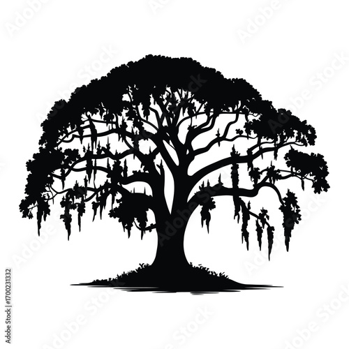 Silhouette of a majestic oak tree with Spanish moss, a symbol of Southern beauty
