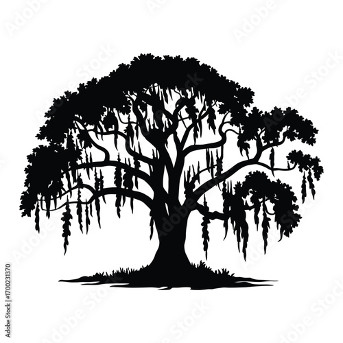 Black silhouette of a majestic Southern live oak tree with hanging Spanish moss. A timeless symbol of nature and heritage, vector illustration C.eps file