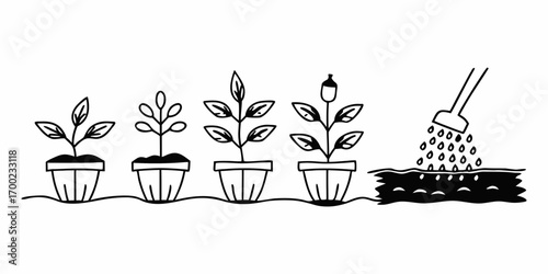 Plant growth stages from seedling to sapling in pots and watering with a watering can shown in line art