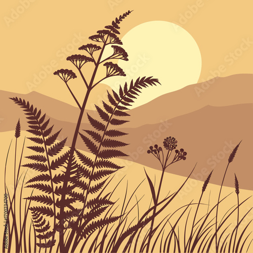 wheat field at sunset