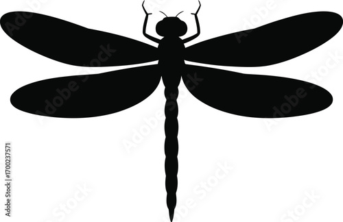 Elegant black silhouette of a dragonfly with spread wings isolated on a clean white background representing nature and insects