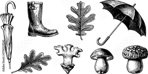Autumn evening elements in vintage engraving style for seasonal design