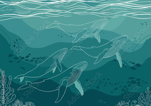 Humpback whales swimming together in turquoise ocean waters  