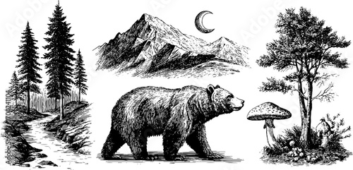 Serene forest landscape with bear in vintage engraving style