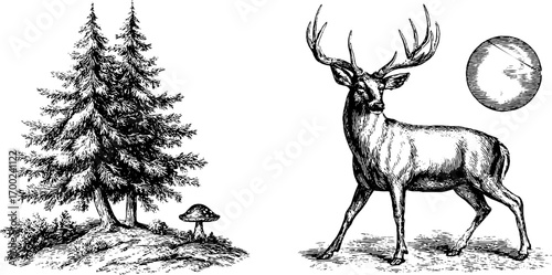 Majestic forest scene with deer and trees in vintage engraving style for nature art
