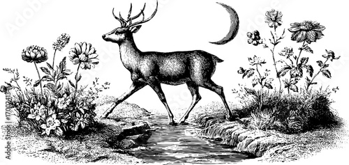 Romantic forest scene with deer and flowers in vintage engraving style