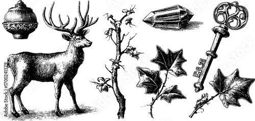 Enchanting forest tales: vintage engraving style elements for creative design