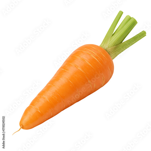 Beautifully textured single orange carrot with short green fronds, positioned diagonally against black