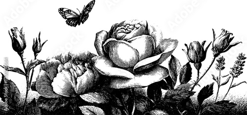 Romantic garden scene with butterfly and roses in vintage engraving style