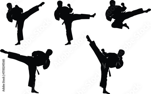 Karate fighter silhouettes in action, martial arts poses, high kicks, combat training, self defense illustration, black vector on white background.