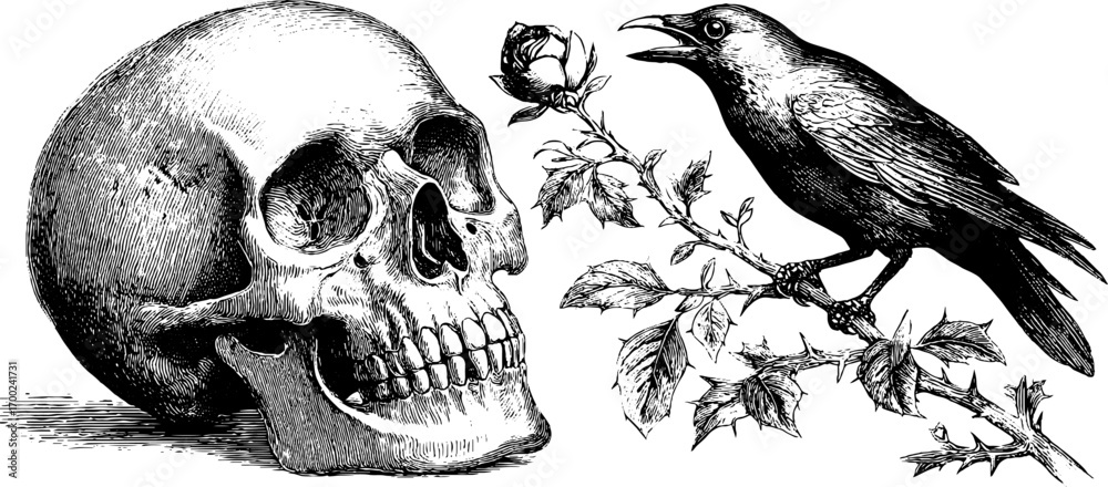 Fototapeta premium Gothic mystic vintage engraving of skull and raven in classic style