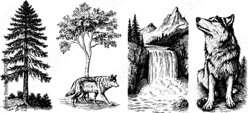 Nordic nature in vintage engraving style: wolves, trees, and waterfalls for design