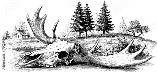 Vintage engraving of antler with rustic landscape for nature art and print design